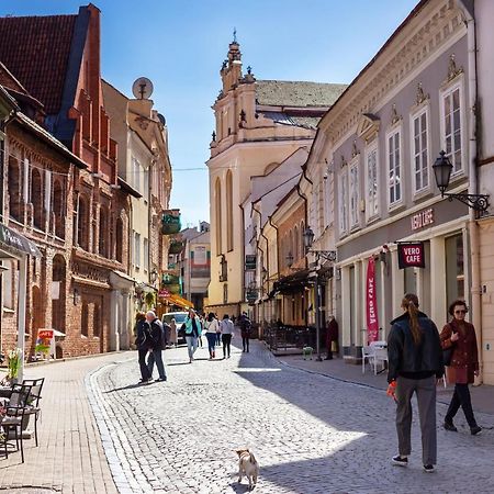 #Stayhere - Historic Vilnius Old Town Chic Studio Eksteriør billede