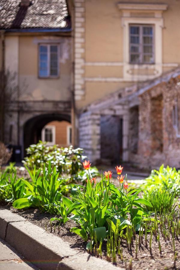 #Stayhere - Historic Vilnius Old Town Chic Studio Eksteriør billede
